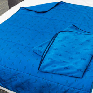 2PC Inflight Quilt Set